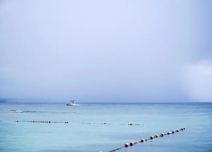 Apartment One Cozy Seawind On The Bay Montego Bay